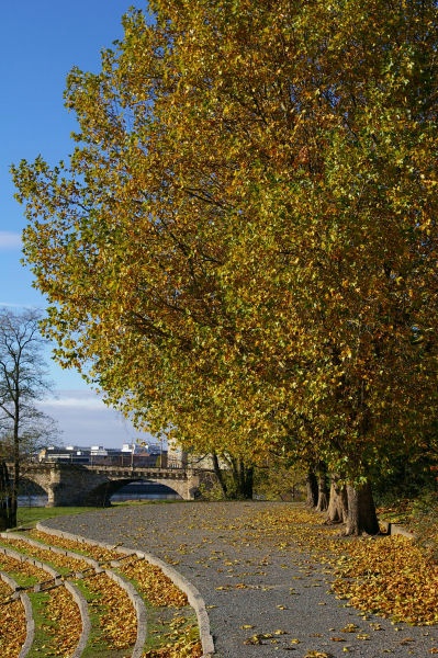 01herbst.jpg - Herbstimpression des Elbufers in Dresden. Im wärmsten Jahr seit Beginn der Wetteraufzeichnung gab es viel Sonnenschein, auch in der dritten Jahreszeit.